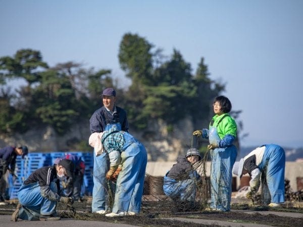 桂島には、これまで積み上げてきた海苔養殖の文化があります。これは絶対に次世代に伝えていかないといけません。
