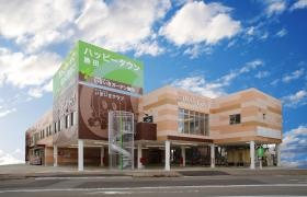 いきいきガーデン勝田外観