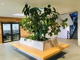 本社３階／緑のある休憩スペース