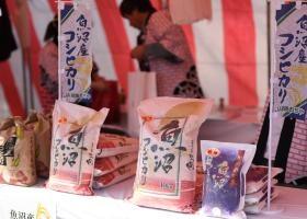 コシヒカリ販売