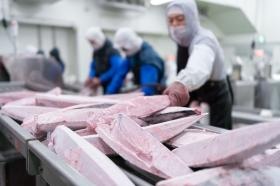 スキンレス加工