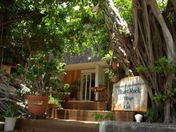 港の目の前にあり、ガジュマルの木がお店のシンボルです。