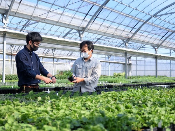 営業職・資材の営業（普通自動車免許・AT限定相談可）