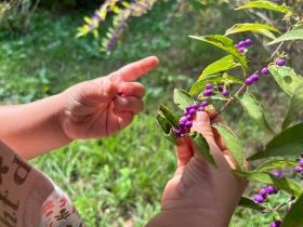 児童発達支援 戸外活動