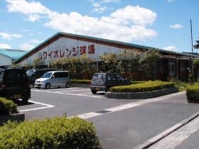 ハワイオレンジ球場（ゲートボール）