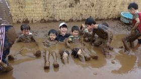 園内に小さな田んぼがあり、田植えや稲刈りを経験します