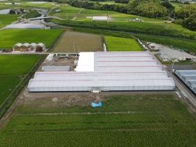 Ａｉｔｏｓａシシトウハウス外観３