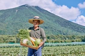 日光圃場。いちごの苗や野菜を生産しています。