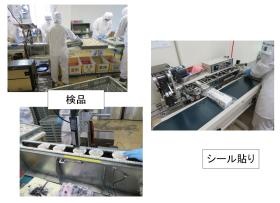 検品、シール貼り