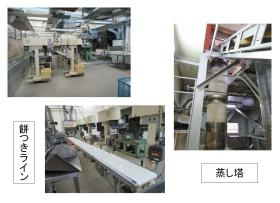 餅つきライン、蒸し塔