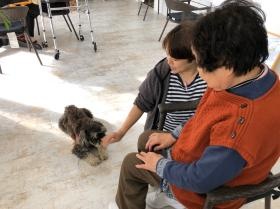 カモミールハウスではアニマルセラピーも行っているんですよ。