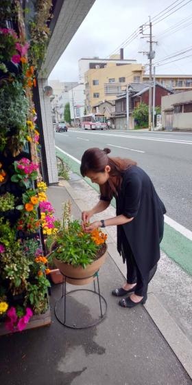 玄関の花は社員で植え替えしてます！園芸部員募集中！！