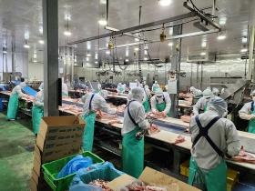 豚部分肉製造作業