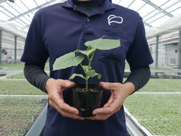 生産管理・農場スタッフ・生産本数全国トップ（未経験歓迎・普通自動車免許）