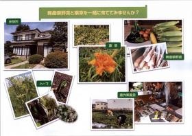 羽生薬草園