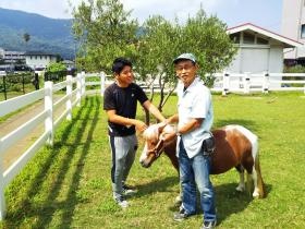 オリーブガーデン 治療効果のあるアニマルセラピーの指導