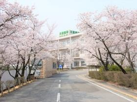 春には桜が満開になるチェリーガーデン。