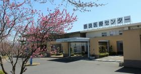 春は桜がきれいです☆