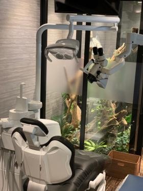 蒲田ステーション歯科