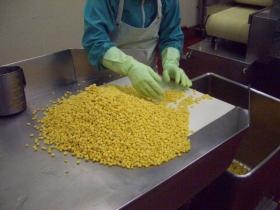 事業所の情報＿００５