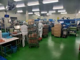 商品詰め作業３