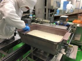 炊き上がったごはん