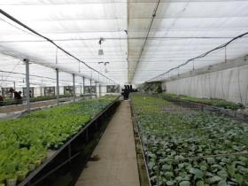 事業所の情報＿００１