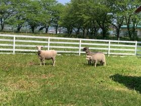 事業所の情報＿００２