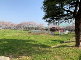 事業所の情報＿００１