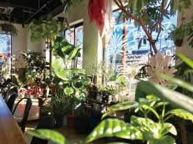 事務所ショールーム内