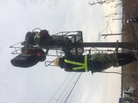 信号機取替作業