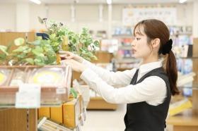 店内ディスプレイ