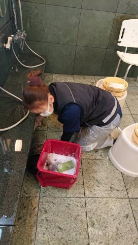 銭湯のお掃除中の写真です