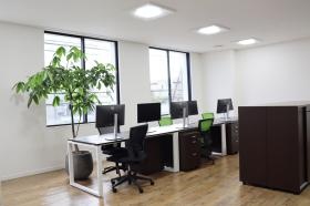 白い壁に緑が映える執務室です