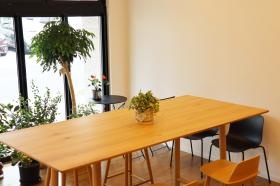 観葉植物が沢山ある癒しの空間です