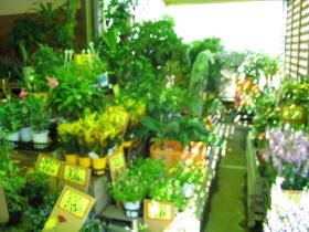 事業所の情報＿００５