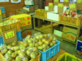 事業所の情報＿００６