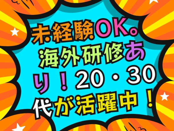 営業企画（未経験からの挑戦も大歓迎）