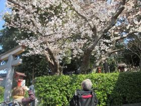 老健・お花見