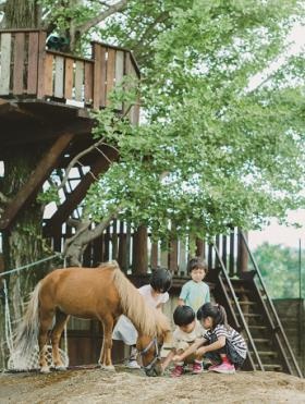 町田自然幼稚園