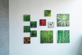 館内に飾られた四季折々の写真