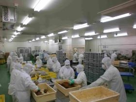 事業所の情報＿００５