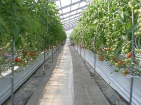 事業所の情報＿００１