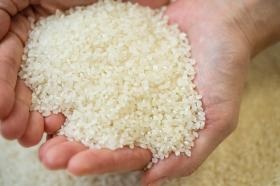 厳選された素材