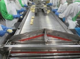 作業光景（ジャガイモの芽取り）