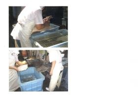 事業所の情報＿００５