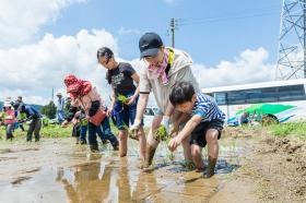 春の田植えイベント