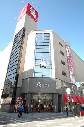 ☆☆☆フォルテワジマ☆☆☆