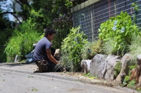 実際の植栽工事の現場です。チームで手際よく植えていきます