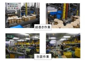 紙巻き作業、包装作業